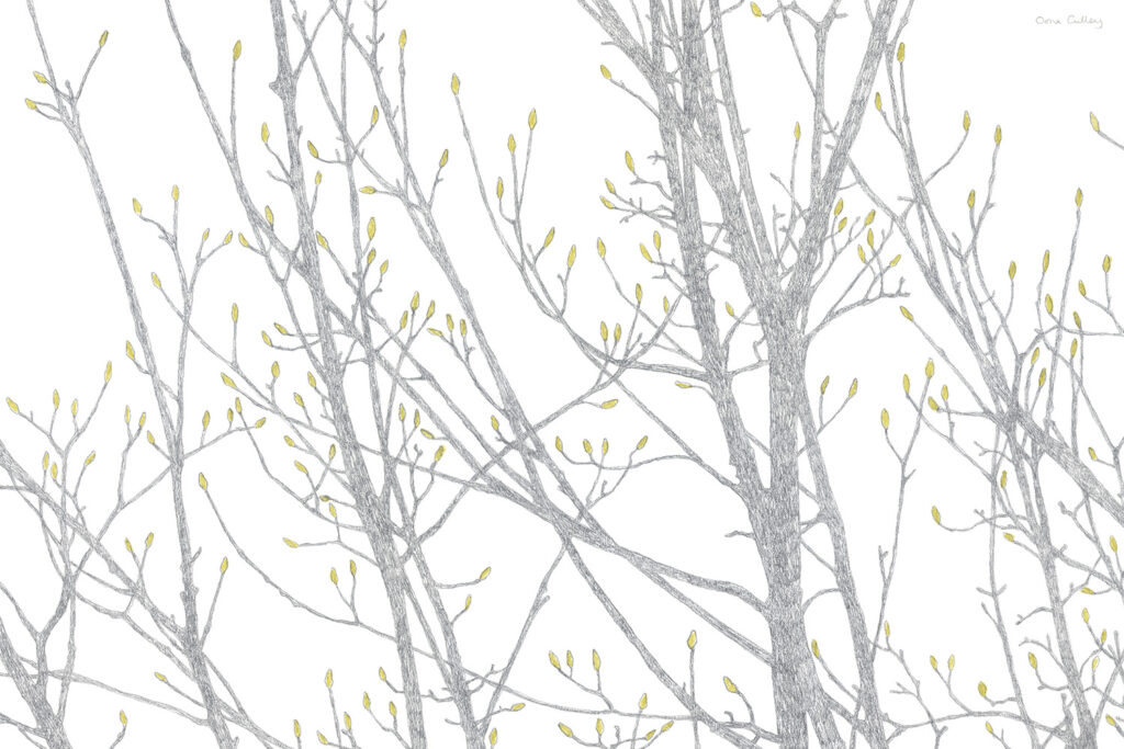 oona-culley-spring-buds-2detail-print