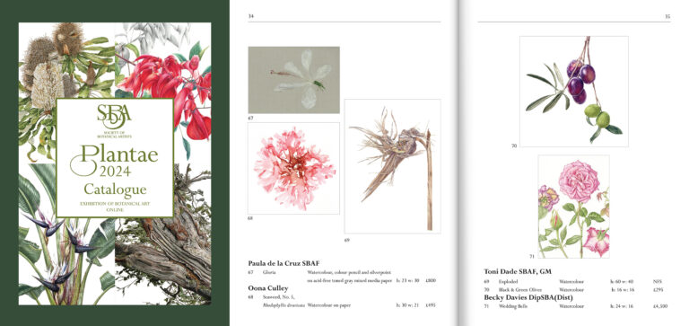 Society Botanical Artists Plantae Catalogue 2024