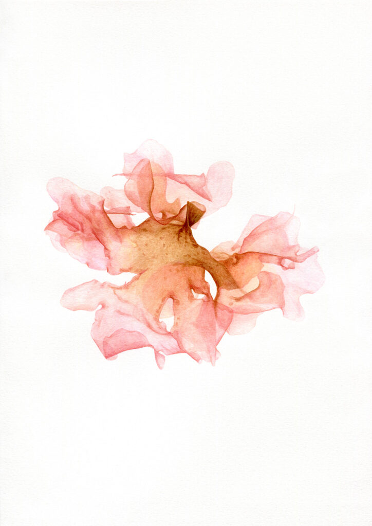 Oona Culley Seaweed 10