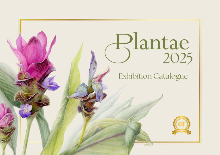 Plantae 2025 Exhibition Catalogue