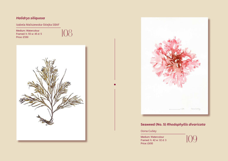 Plantae 2025 Exhibition Catalogue