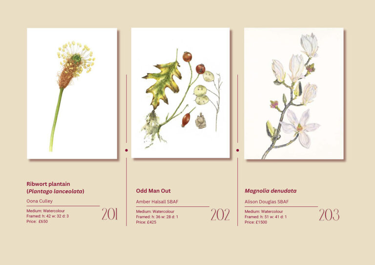 Plantae 2025 Exhibition Catalogue