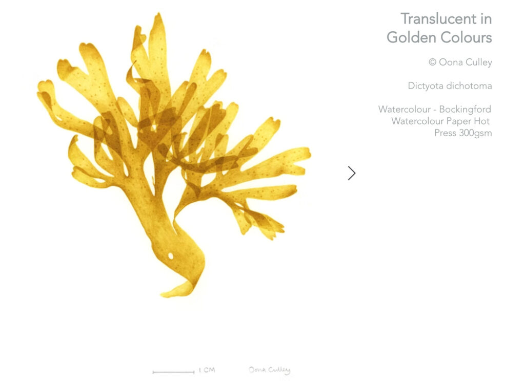 oona culley ABA Inspiration