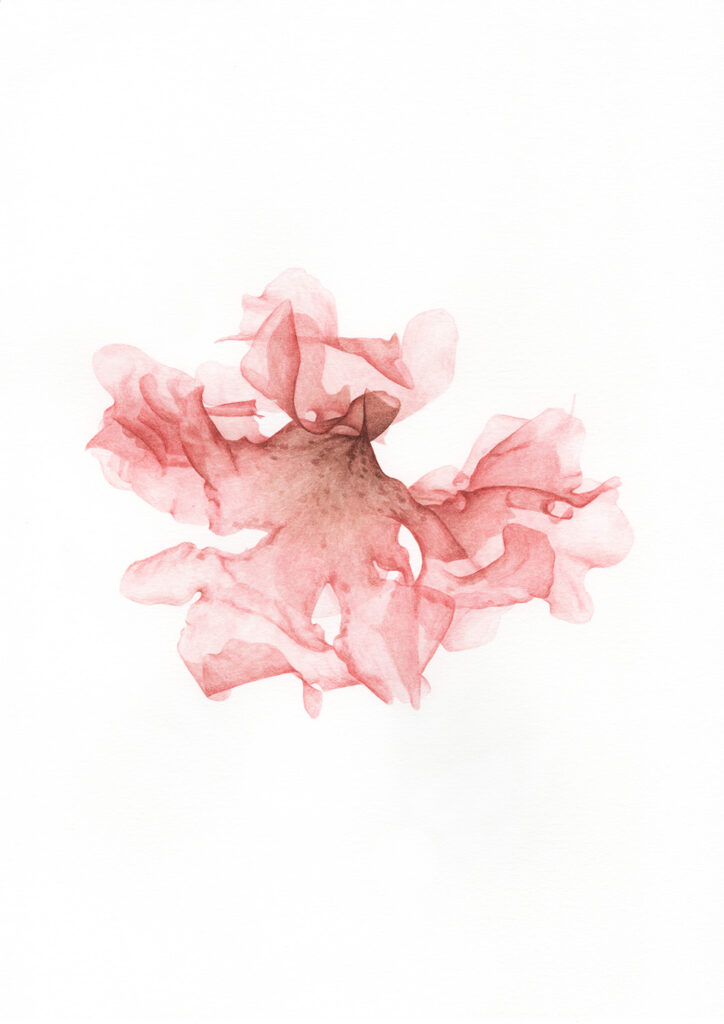 oona culley seaweed10b